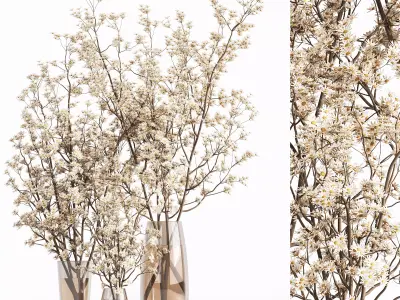 Collaction Plants Bouquet 11 3D model