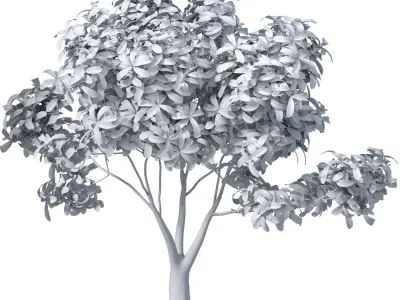 Garden plant tree shrub Bush Backyard 3D model