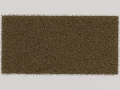 Brown Shag Rug 3D model