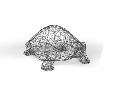 Turtle Wireframe Low-poly 3D model