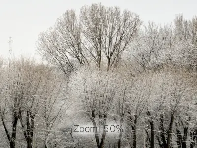 Panorama of the park with a lake and snow-covered trees - 30k 3D model