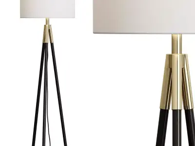 Crate And Barrel Hyde Brass and Bronze Metal Tripod Floor Lamp 3D model
