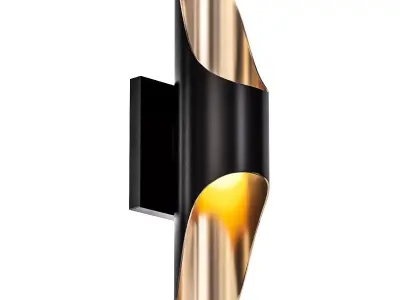 Black and Gold 3D model