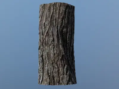 treebark05 tree trunk 3D model