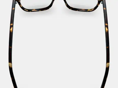 Welty Eyeglasses in Whiskey Tortoise 3D model