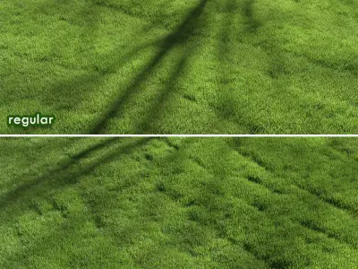 lawn grass 3D model