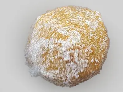 Sphere Donuts 3D model
