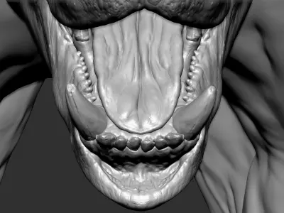  Bear with Facial Expression 