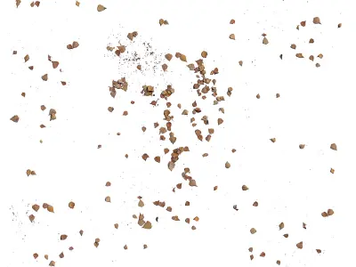 Autumn leaves Decal scan 3D model