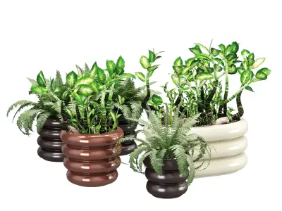 Oyoy awa one 3D model