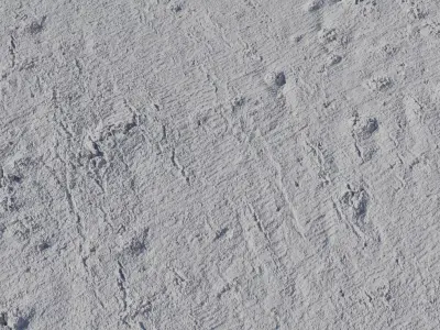 Muddy Forest Ground With Yellow Moss PBR Texture 4K Texture