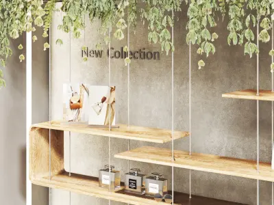 showcase 05  store window Low-poly 3D model