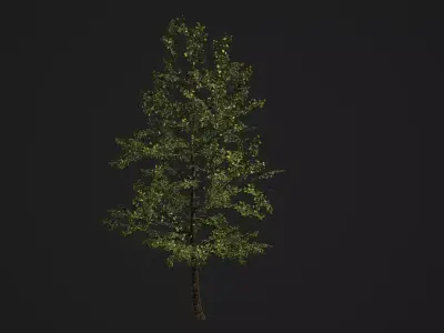 Realistic Tree 3D model Low-poly 3D model Low-poly 3D model
