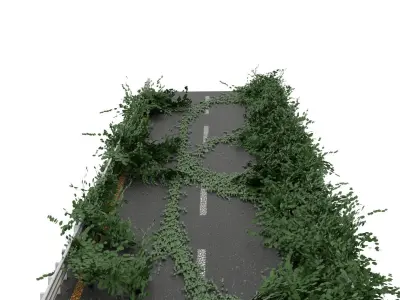 Moss Road 3D model