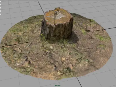 Tree Stump Low-poly 3D model