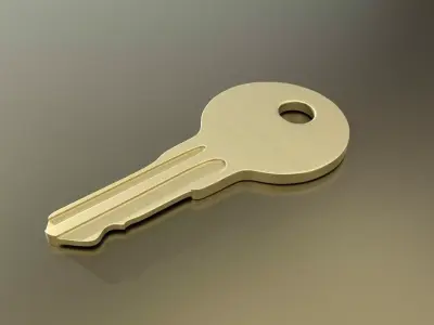 Standard Key Free 3D model