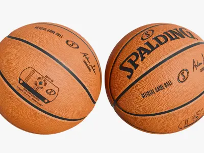  Basketball Ball Collection StemCell 