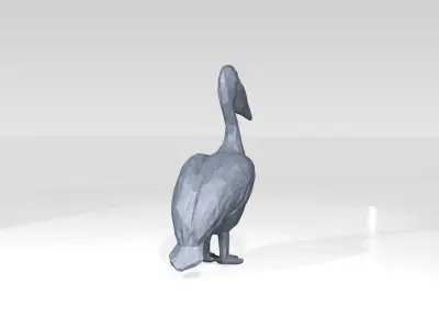 Pelican Low Poligonal 3D model