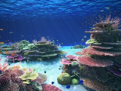  Corals Big Collection 