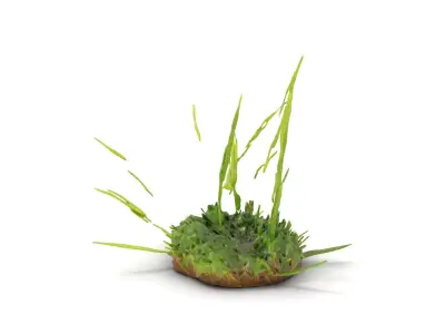 Verdant Grass Cluster model pack Low-poly 3D model