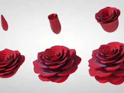  Hyperreal Rose Flower Animated 