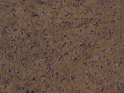 Jacaranda Petals on Dry Soil PBR Texture Texture