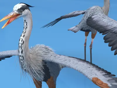  Realistic Great Blue Heron 