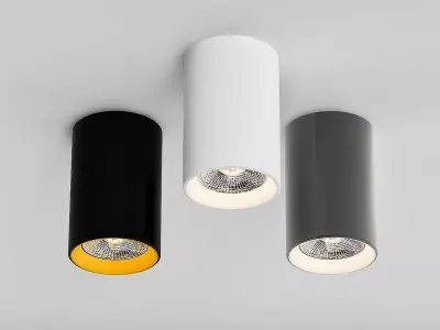 Ceiling Lamps CENTRSVET 13 3D model