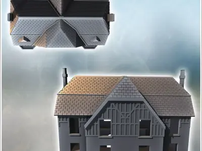 Multi-story house with tiled roof and chimneys Juno Beach Norman 3D print model