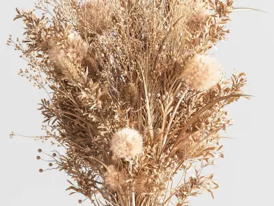 dry flowers bouquet vase 08 3D model