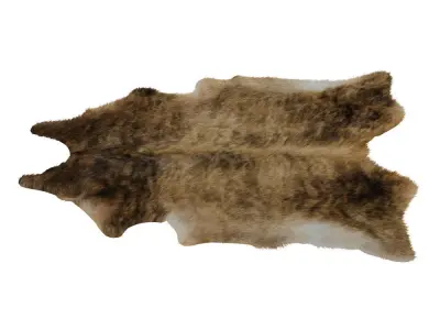 European Rug Cowhide 10 3D model