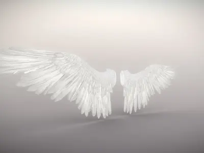  Highly Detailed RIGGED ANGEL or BIRD WINGS 