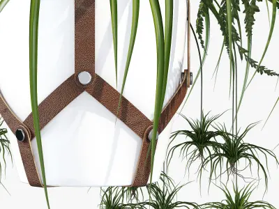 Cofield hanging planter with two plants 3D model