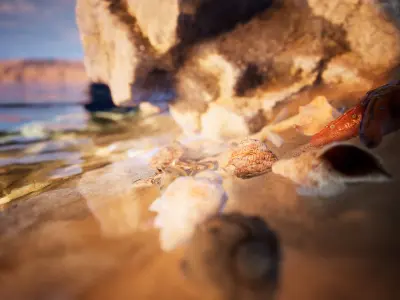 Sea Shells  24 Assets Low-poly 3D model