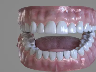  Realistic Human Mouth 
