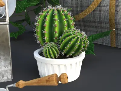 Garden tools decor set 3D model