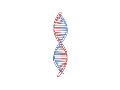DNA Molecule v3 001 Low-poly 3D model