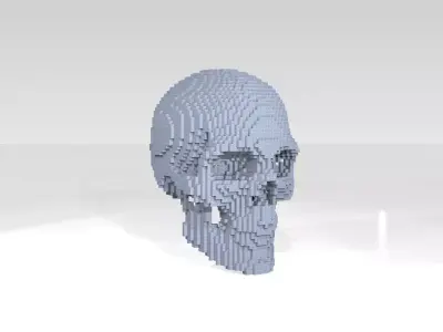 Skull Voxel 3D model