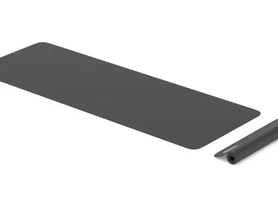 Technogym Accessories Exercise Mat 3D model