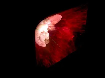Homunculus Nebula 3D model