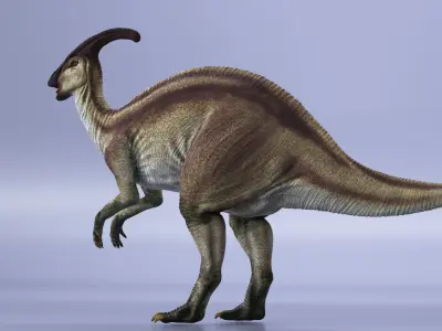  Parasaurolophus Dinosaur Rigged for Cinema 4D 