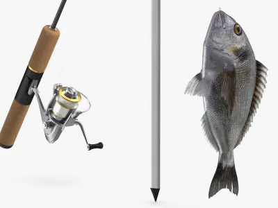  Fishing Rod with Caught Dorado 