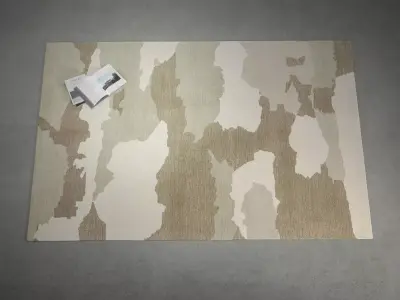 Terre Nuage Carpet 3D model