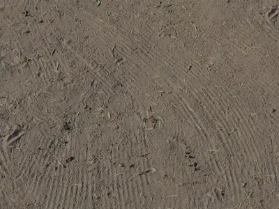Raked Dirt Ground With Dry Grass  Texture