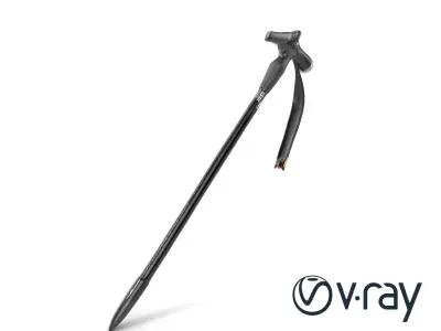 Mountain Trekking Stick Durable Model Pack Low-poly 3D model