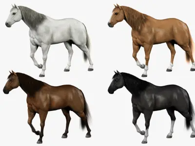  Horses Bundle (Animated) (Fur) 