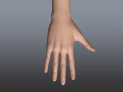  Rigged and Animated Hand (Female) 