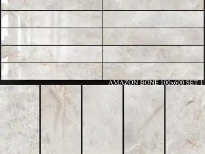 Yurtbay Seramik Amazon Bone 100x600 Set 1 3D model