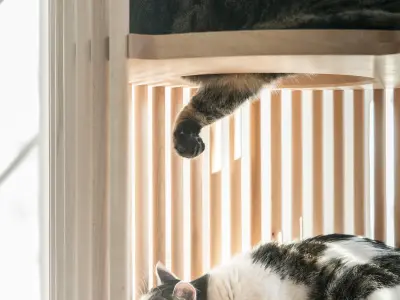 Neko cat tree 3D model