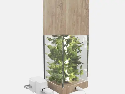 Planty Lamp 3D model